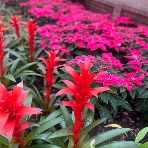 Hello all, and welcome to my closet! Expect authentic items in great condition!